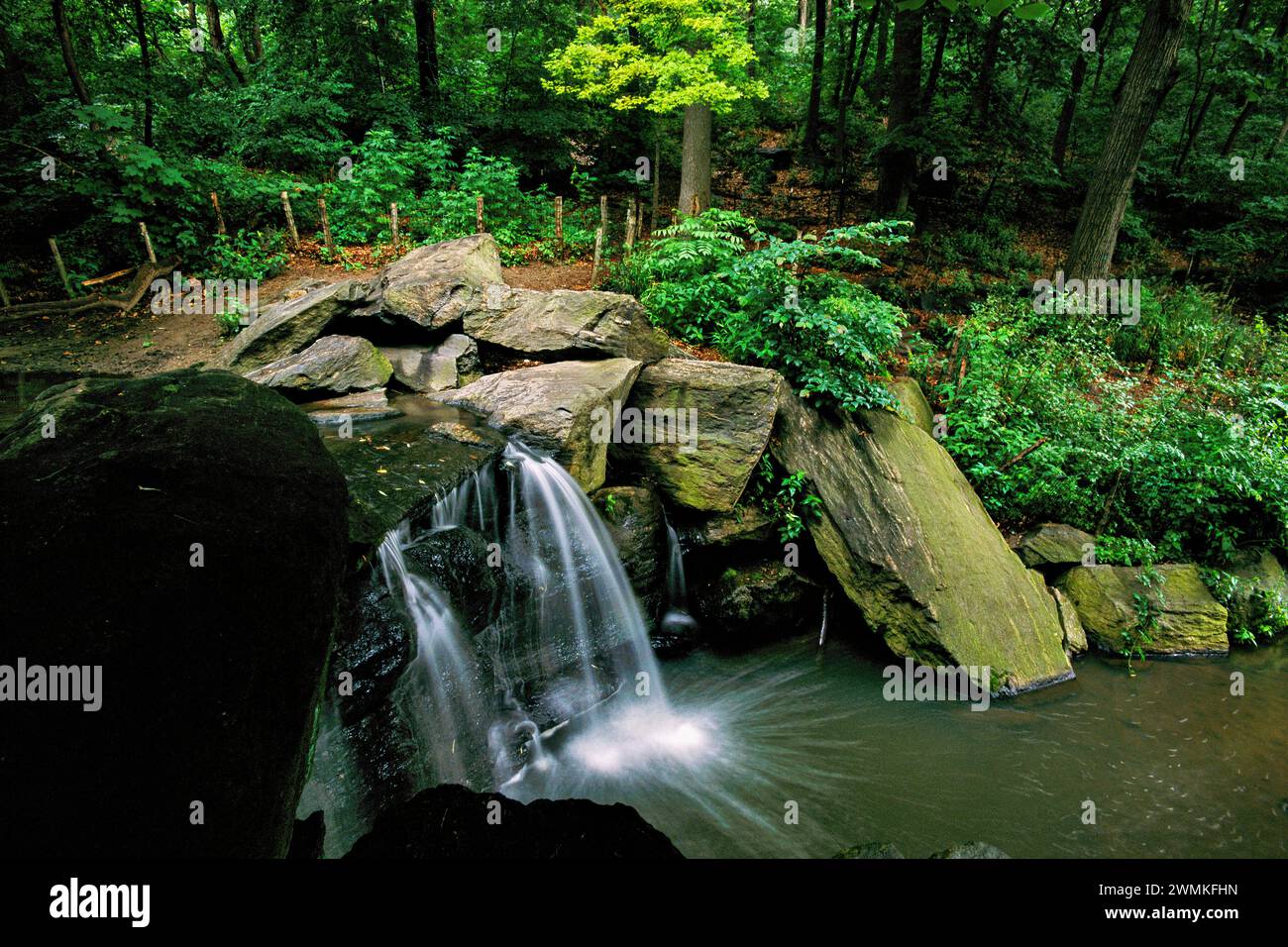 Wasser plätschert über einem kleinen Wasserfall in der Nordseite eines Central Park Waldlands, bekannt als Loch, eine Schlucht, die einen natürlichen... Stockfoto