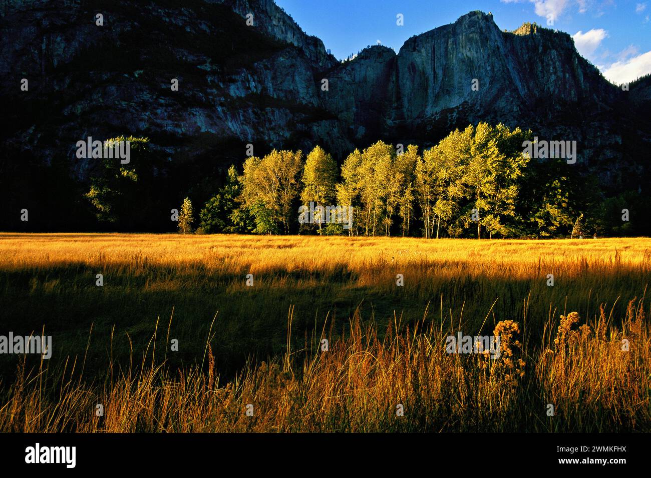 Die späte Sonne beleuchtet eine Wiese im Yosemite-Nationalpark. Gletscher schnitzten die Berge der Sierra Nevada und schufen Mauern, die ein flaches Tal... Stockfoto