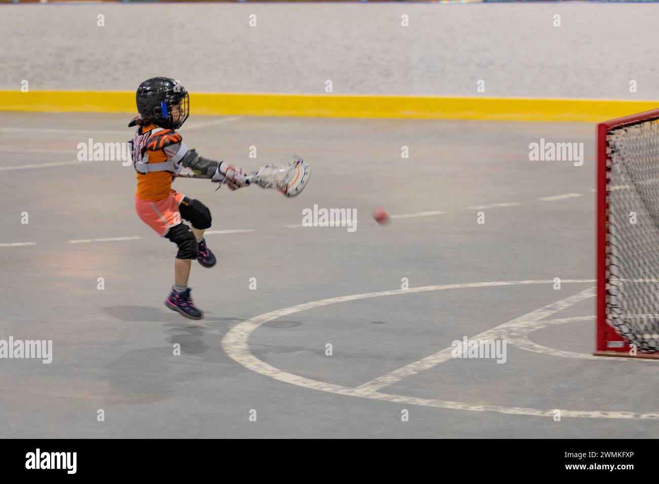 Kleines Mädchen, das Lacrosse spielt, während des Trainings Ball im Netz schießt; North Vancouver, British Columbia, Kanada Stockfoto