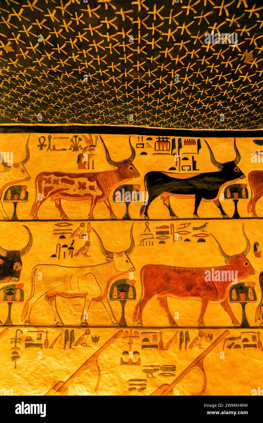 Grab von Nefertari, Tal der Königinnen in Luxor, das die sieben himmlischen Kühe, Stier und vier Ruder darstellt; Luxor, Ägypten Stockfoto