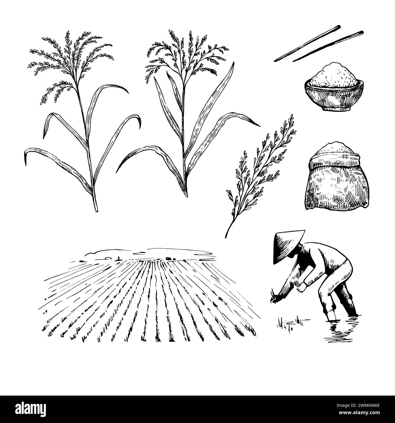 Sammlung von Schwarz-weiß-Elementen von Reispflanzen und Feldern mit Landwirten. Vektorabbildung. Stock Vektor