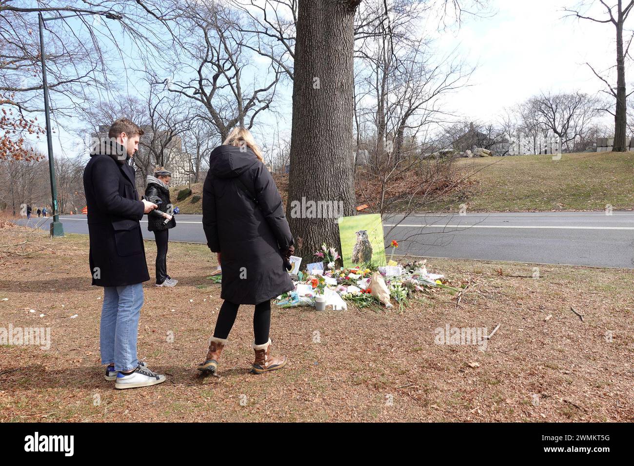 New York City, NY, USA. Februar 2024. New Yorker machten im Central Park eine provisorische Mahnwache für Flaco, einen eurasischen Uhu, der letztes Jahr aus seinem langjährigen Gehege im Central Park Zoo entkommen ist, der verstorben ist. Quelle: Katie Godowski/Media Punch/Alamy Live News Stockfoto