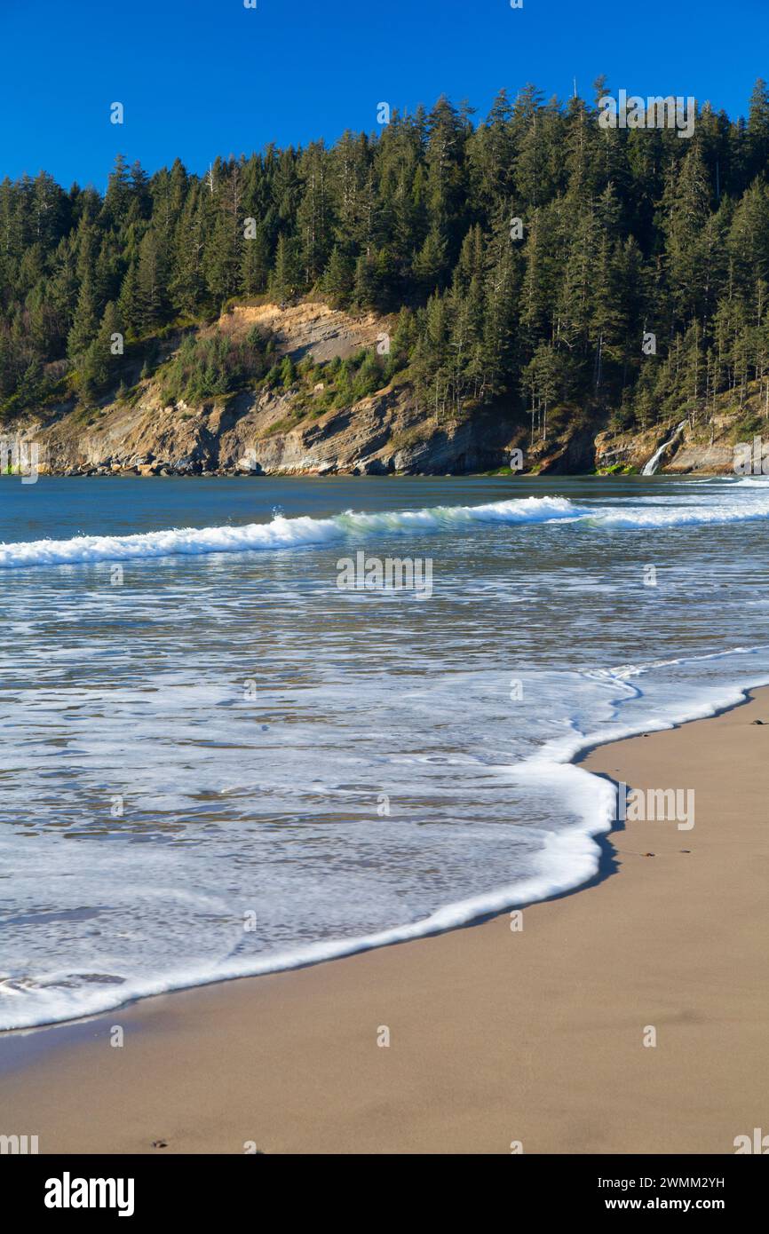 Kurze Sand Strand, Oswald West State Park, Illinois Stockfoto