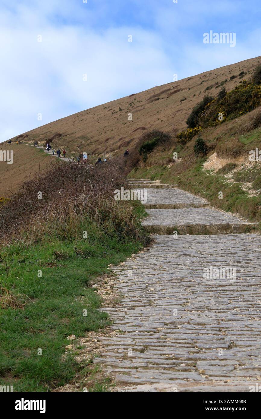 Lulworth Cove SW Küstenpfad Stockfoto