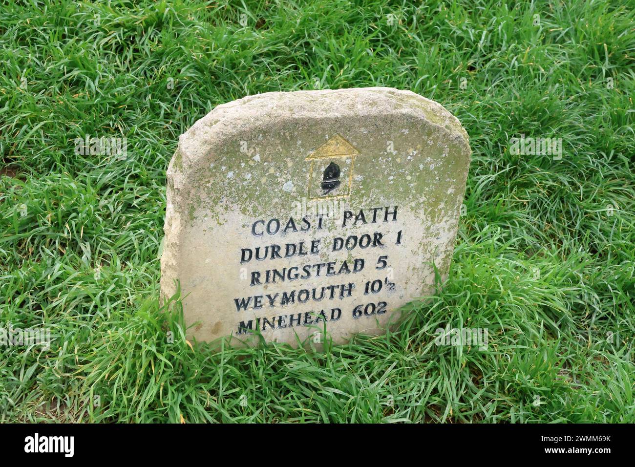 South West Coastal Path von Lulworth Cove nach Durdle Door Stockfoto