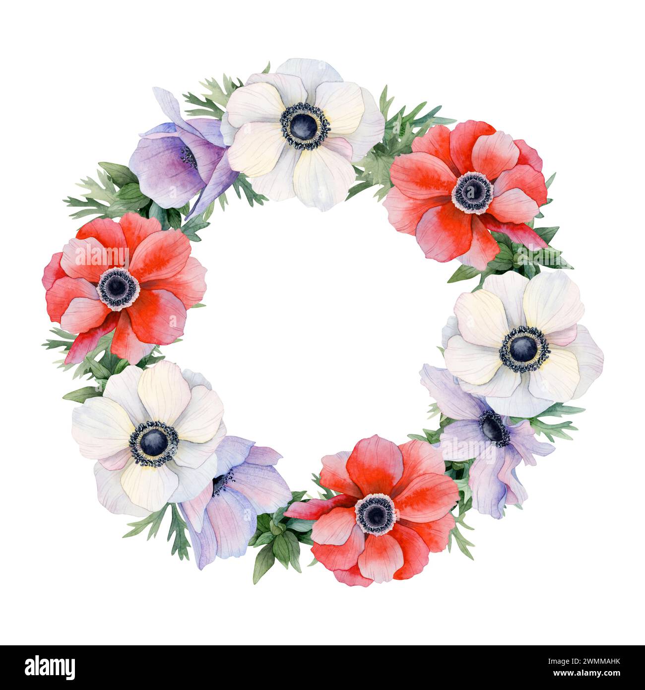 Rote, weiße und lila Anemonen Blumen runder Kranzrahmen Aquarellillustration. Vorlage für Feldpoppies Stockfoto