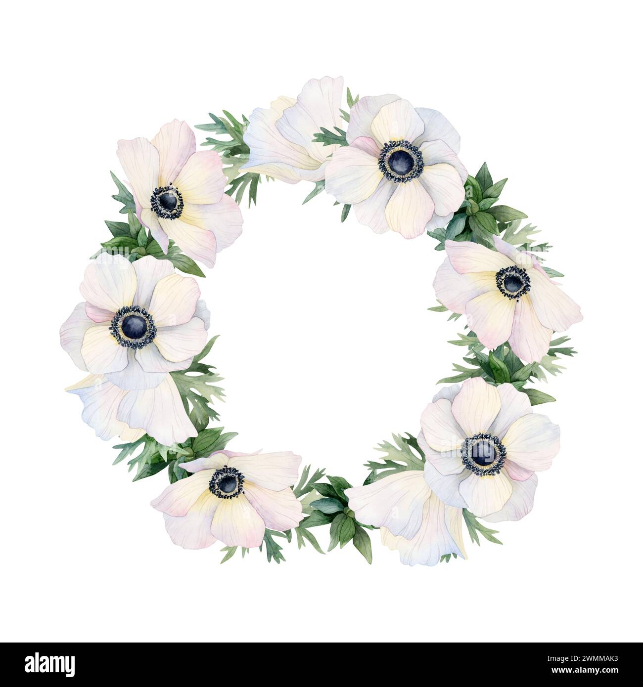 Weiße Anemonen Blumen runder Kranz Rahmen Aquarellillustration. Vorlage für Feldpoppies Stockfoto