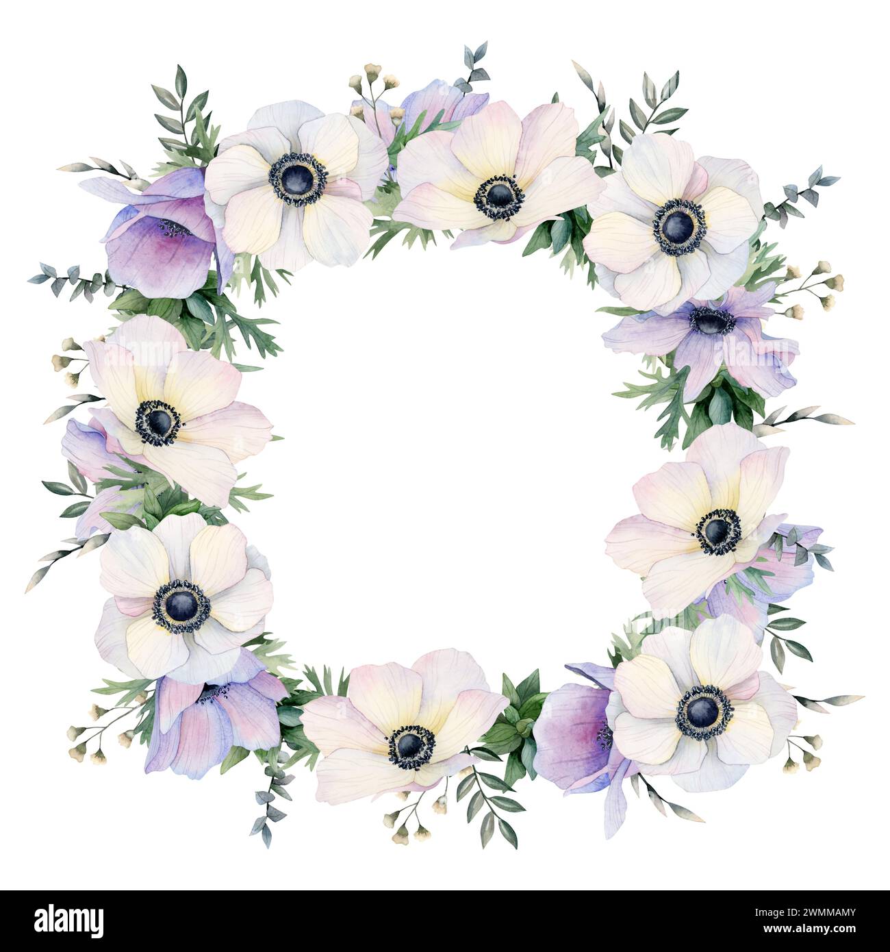 Weiße und pastellfarbene lila Anemonen Blumen quadratischer Rahmen Aquarellillustration. Feldmohn-Vorlage für Grußkarten Stockfoto