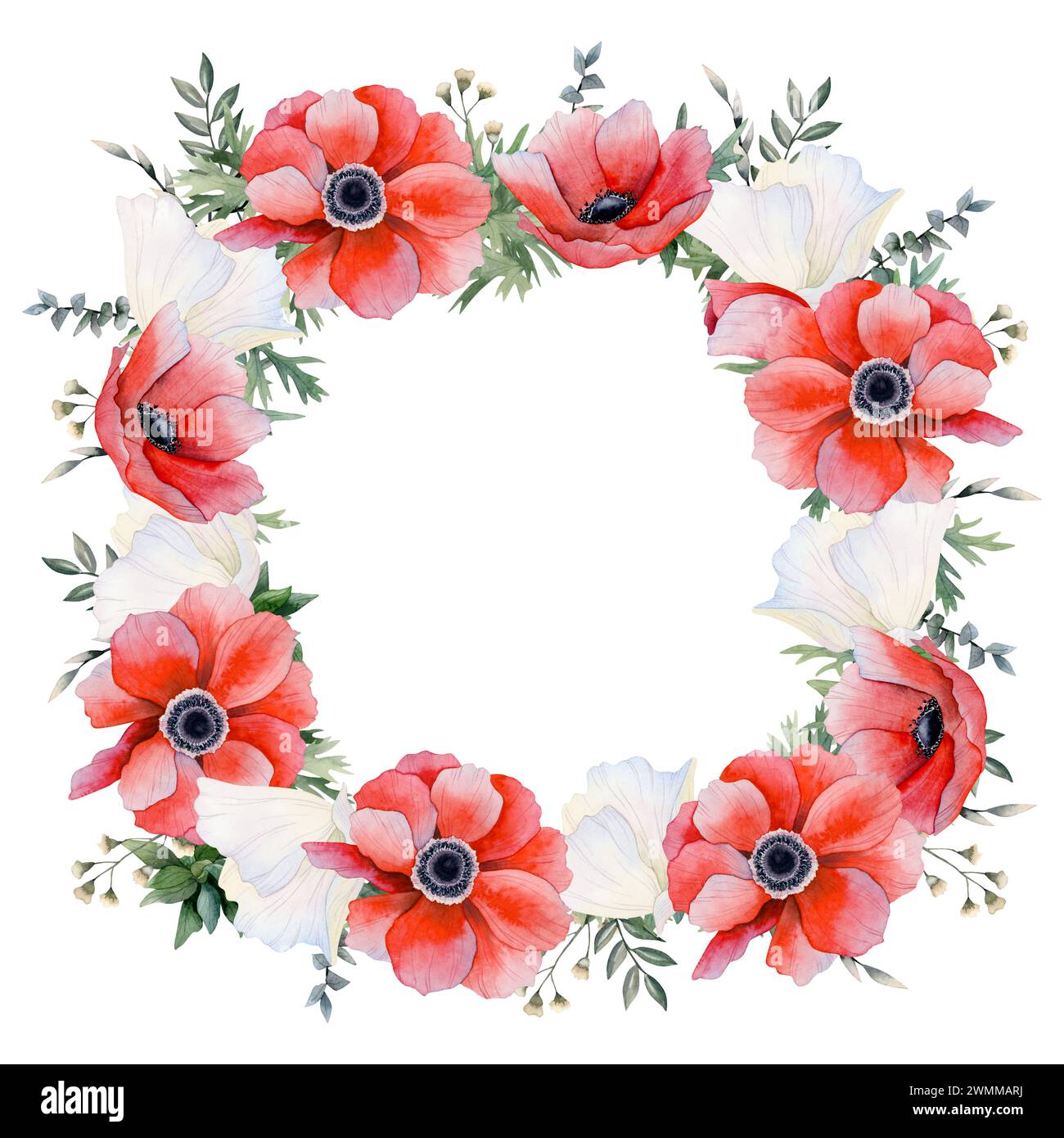 Rote und weiße Anemonen Blumen quadratischer Rahmen Aquarellillustration. Feldmohn-Vorlage für Grußkarten, Etiketten Stockfoto