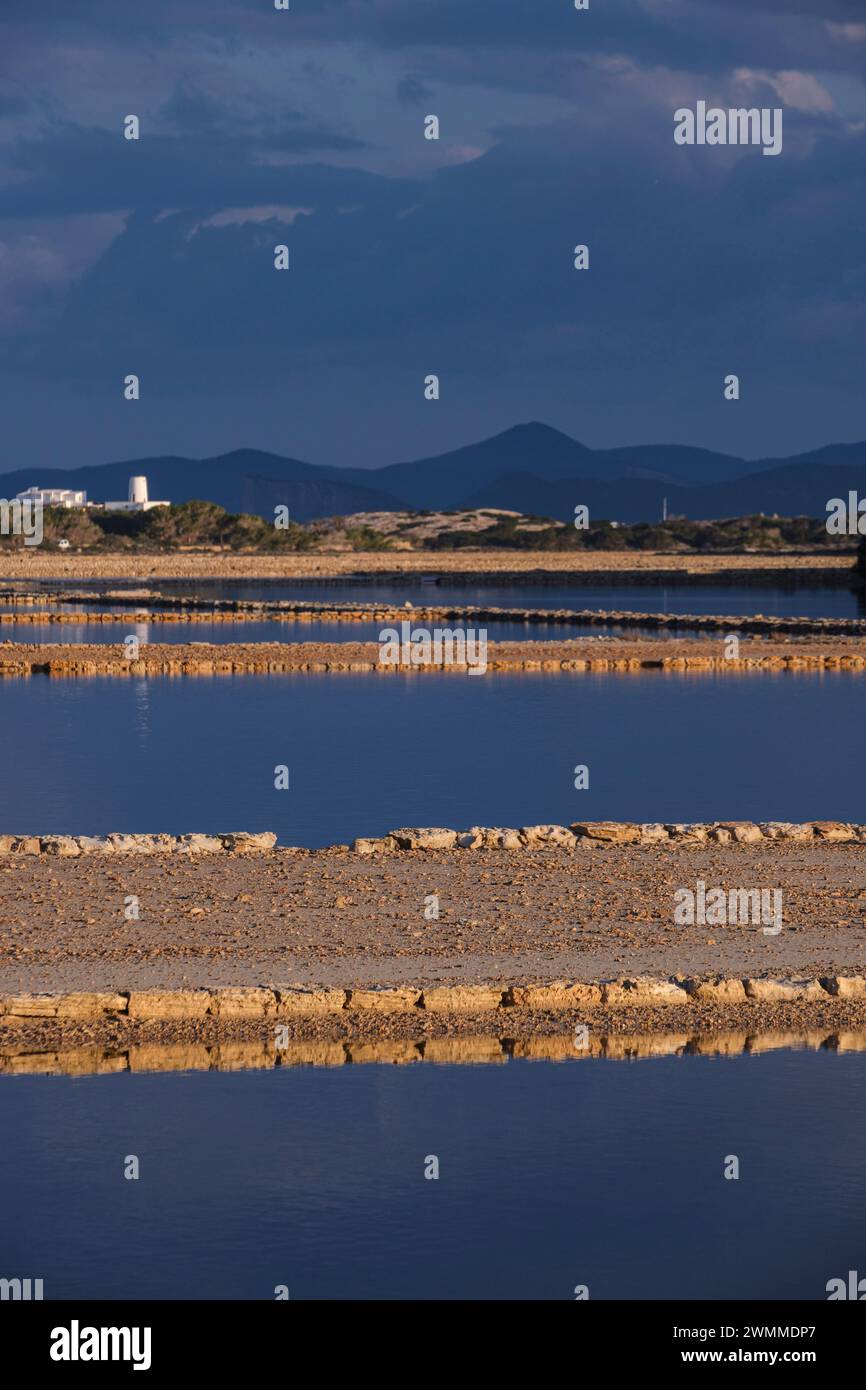 Parc Natural de Ses Salines d’Eivissa i Formentera, Formentera, Pitiusas Inseln, Balearische Gemeinschaft, Spanien Stockfoto