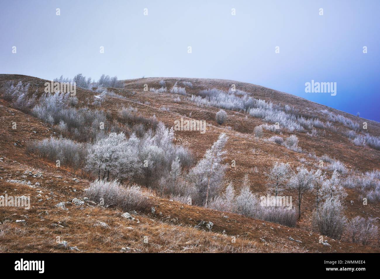 Ein malerischer Blick auf frostbedeckte Bäume in Livno, Bosnien und Herzegowina Stockfoto