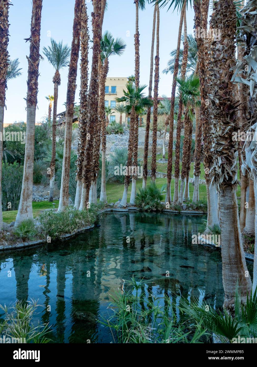 Death Valley National Park Furnace Creek Stockfoto