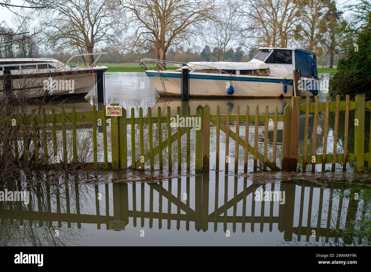 Datchet, Berkshire, Großbritannien. Februar 2024. Die Themse ist im Dorf Datchet, Berkshie, am Ufer geplatzt. Für die Themse von Datchet bis Shepperton Green, einschließlich Old Windsor, Wraysbury, Horton, Staines, Egham, Laleham und Chertsey. Quelle: Maureen McLean/Alamy Live News Stockfoto