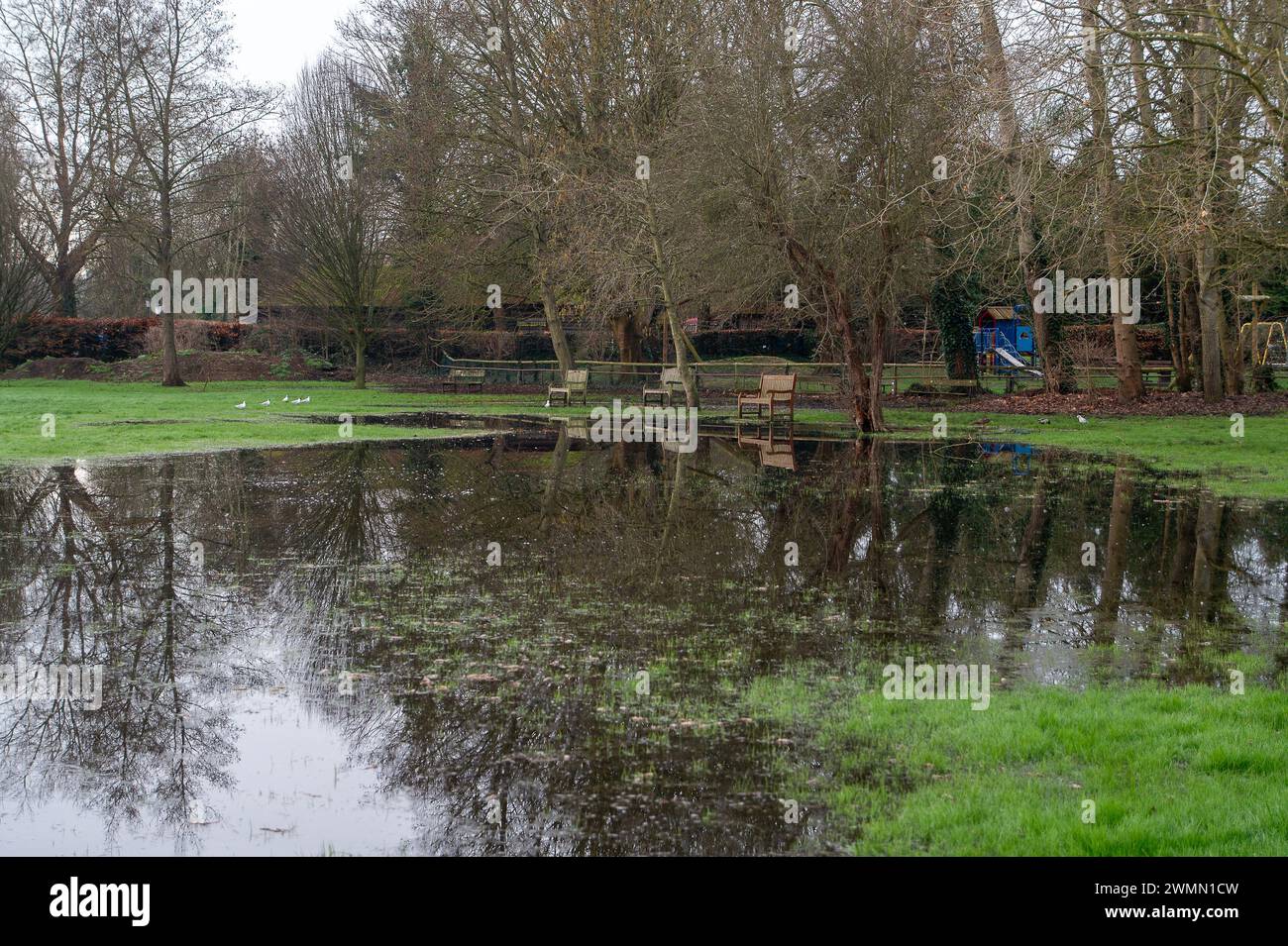 Wraysbury, Großbritannien. Februar 2024. Das Cricketfeld und das Dorf Green im Dorf Wraysbury in Berkshire sind nach wie vor überflutet, aber nicht in dem Ausmaß, wie es im Januar 2024 der Fall war. Für die Themse von Datchet bis Shepperton Green, einschließlich Old Windsor, Wraysbury, Horton, Staines, Egham, Laleham und Chertsey. Quelle: Maureen McLean/Alamy Live News Stockfoto