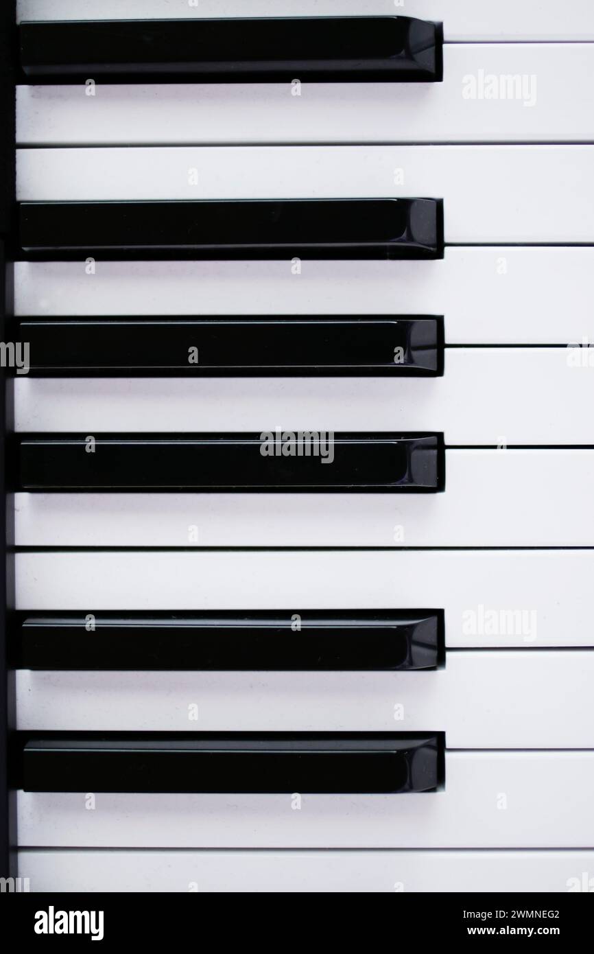 Weiße und schwarze Klaviertasten – Details zu Musikinstrumenten Stockfoto