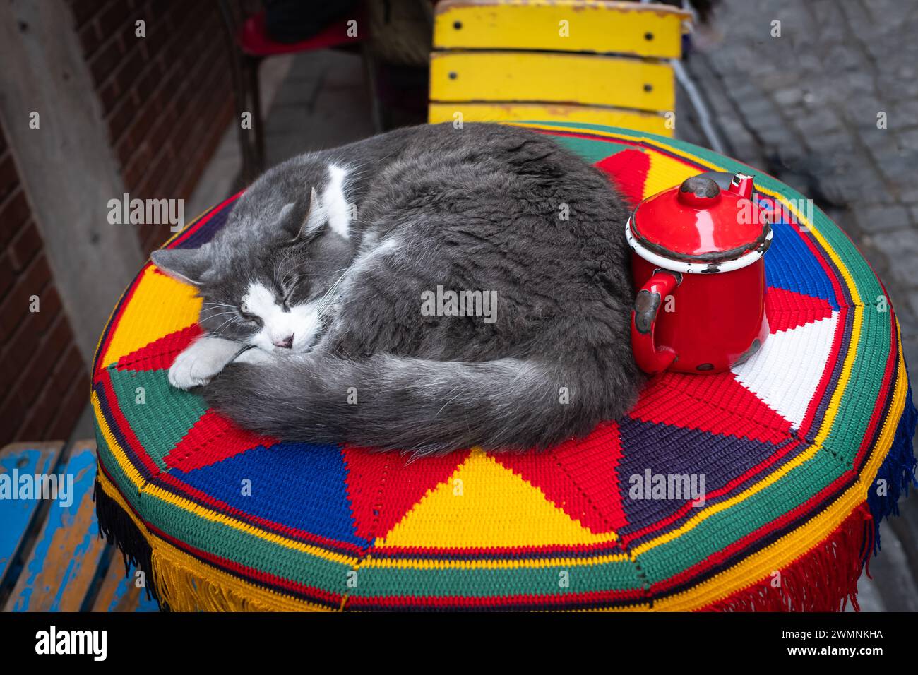 Die niedliche Katze schläft auf dem bunten Tisch auf der Terrasse des Restaurants in Istanbul Türkei. Straßenkatze. Die süße Katze liegt auf einem Tisch. Straßenfoto, nobod Stockfoto