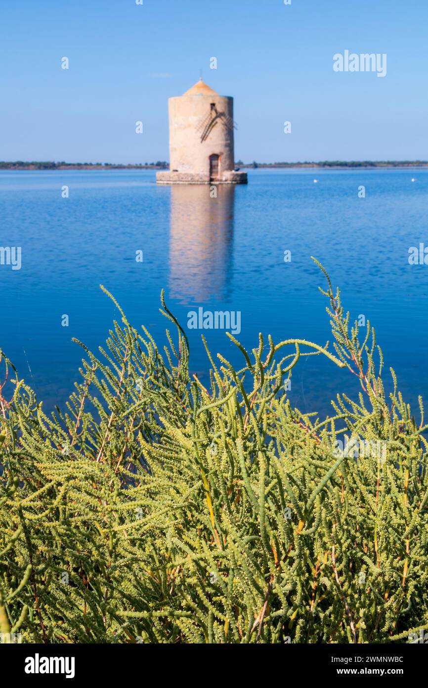 Die antike spanische Mühle, Symbol der Stadt Orbetello in der Toskana Stockfoto