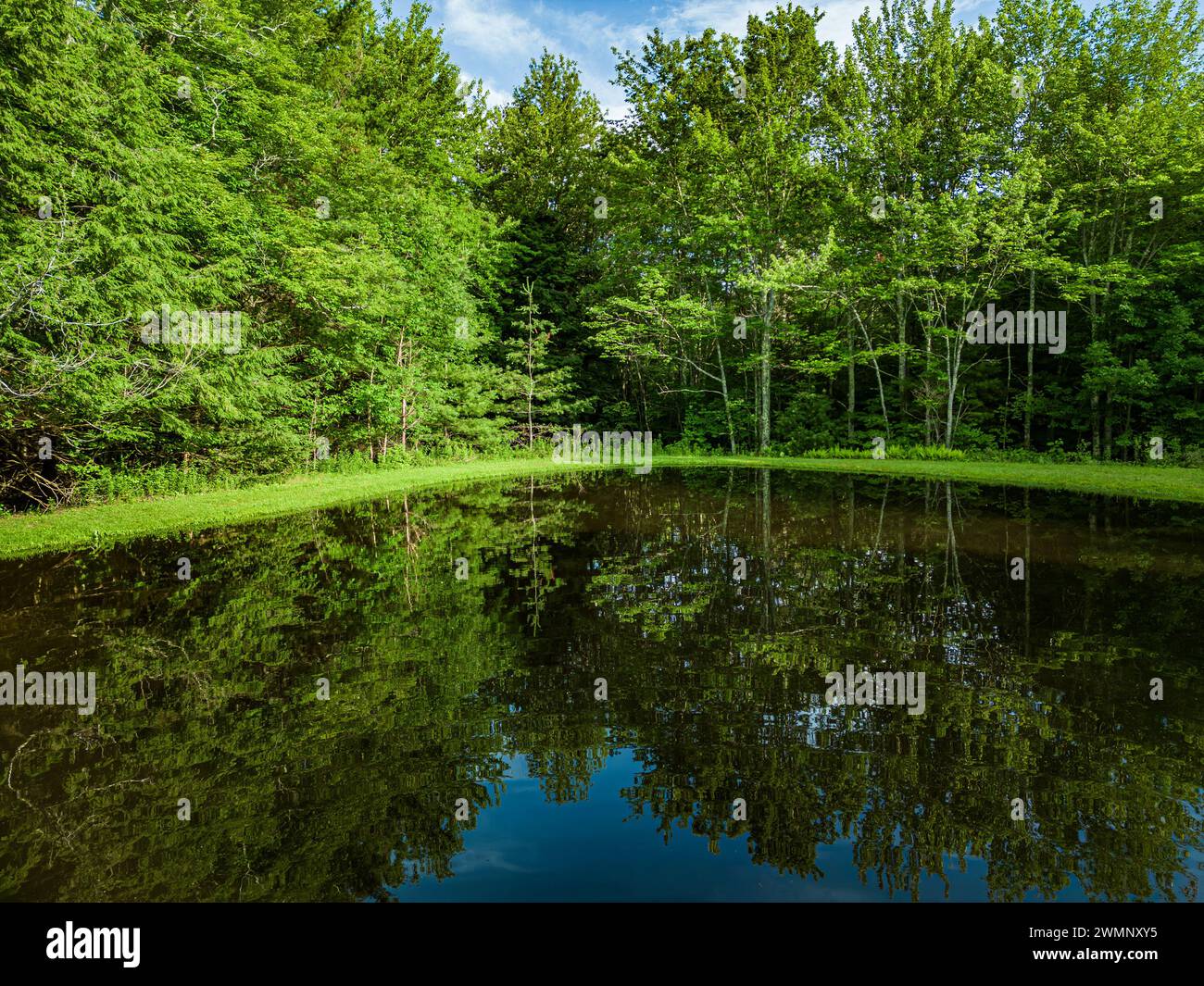 Drohnenfotografie mit erhöhter Aussicht von einem Ferienhaus an den Kaaterskill Falls, einem zweistufigen Wasserfall am Spruce Creek in den östlichen Catskill Mountains von ne Stockfoto