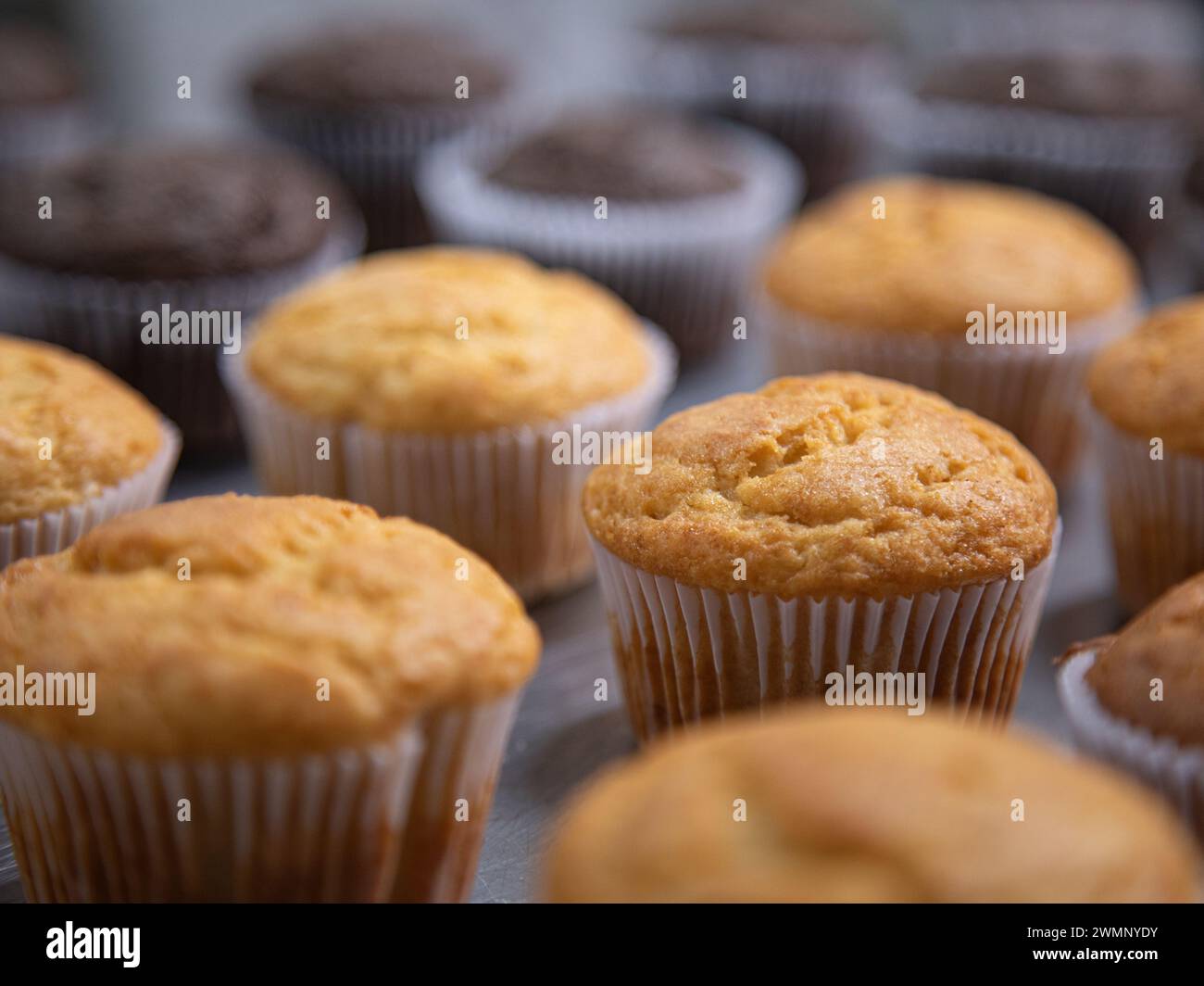 Cupcake-Produktion in der Bäckerei Stockfoto