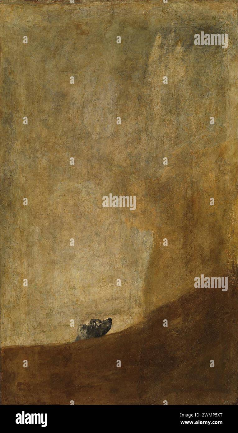Francisco Goya, Der Hund, 1819–1823 Stockfoto