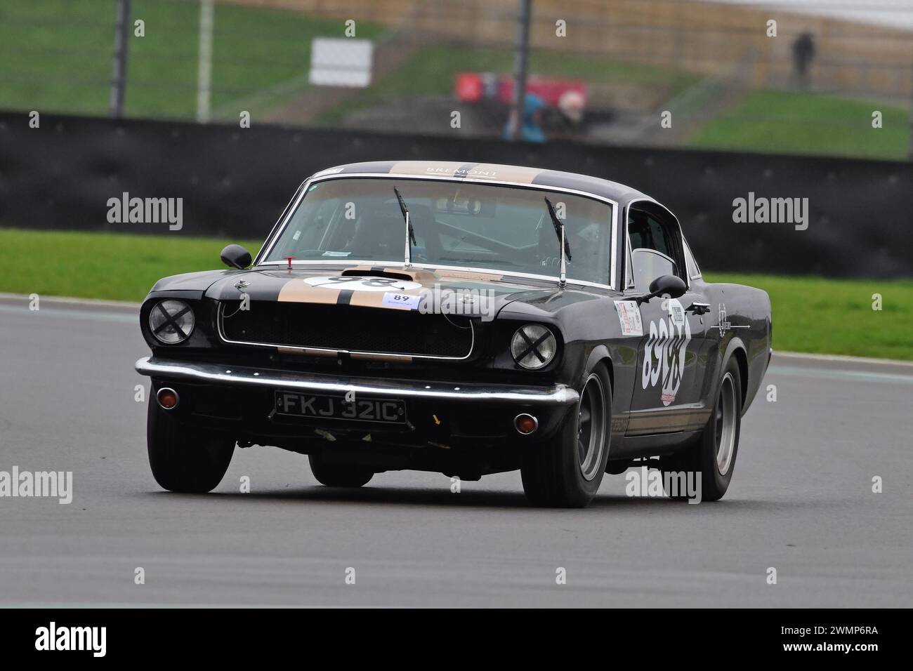 Robin Tojeiro, Ford Shelby GT350, der 1952 erstmals in der Pomeroy Trophy gelaufen ist, bietet Autos aller Epochen und Typen, darunter der Vintage Sports Car Club, VSCC, Stockfoto