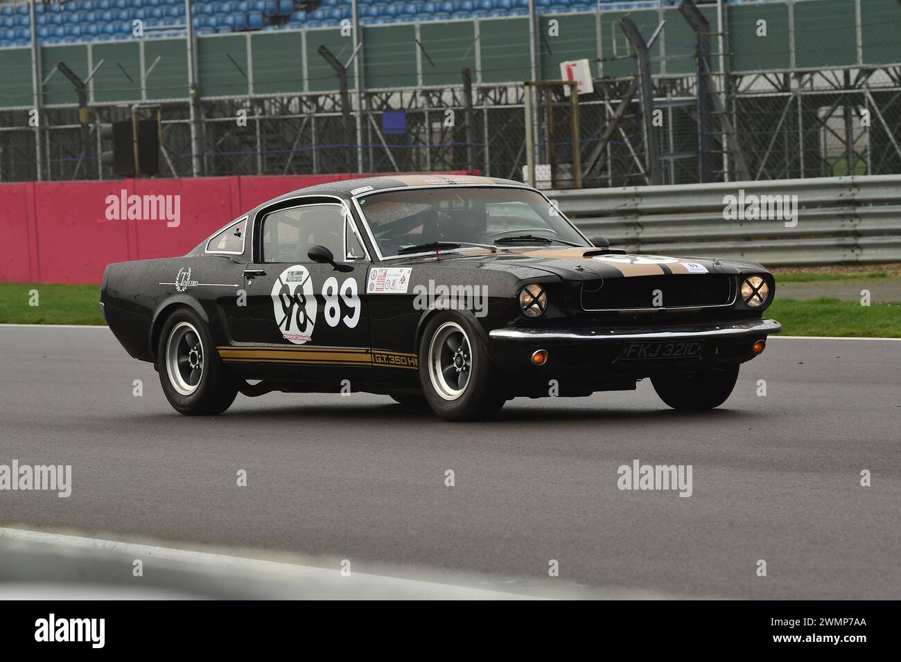 Robin Tojeiro, Ford Shelby GT350, der 1952 erstmals in der Pomeroy Trophy gelaufen ist, bietet Autos aller Epochen und Typen, darunter der Vintage Sports Car Club, VSCC, Stockfoto