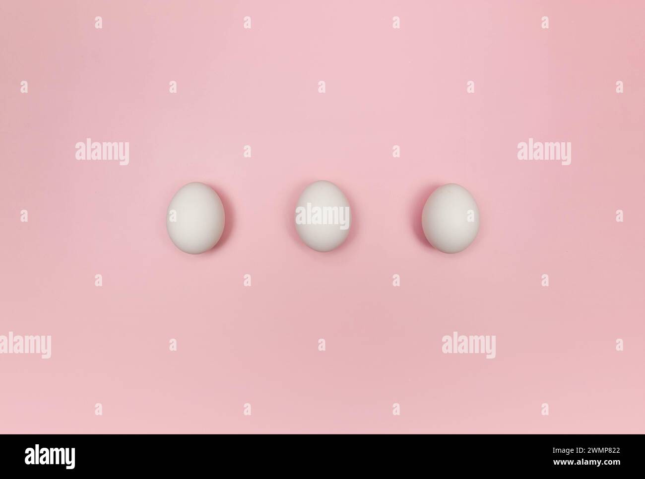 Draufsicht von drei weißen Eiern auf rosa Hintergrund. Kreative osterkomposition, Flat Lay, Kopierraum. Frühling, modern und minimalistisch. Stockfoto