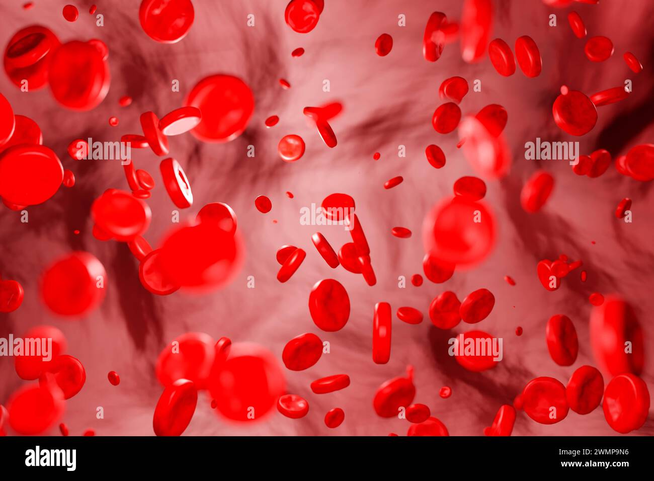 Blutzellen, die durch die Vene fließen. Blutzellen, die durch die Vene fließen. Hämoglobin, Blutkörperchen, Blutkreislauf, Arterien, Blutplasma. 3D-Abbildung Stockfoto