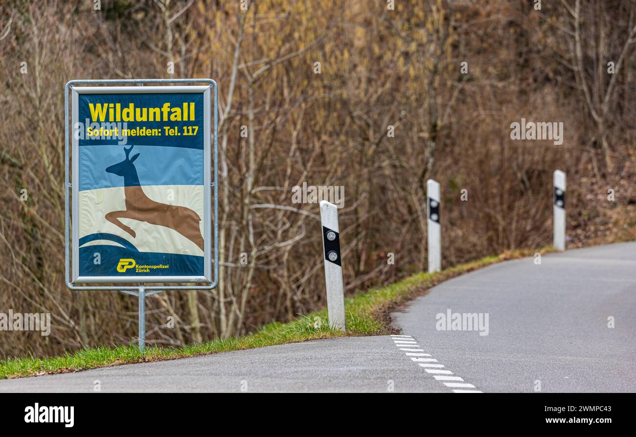 Prävention Wildunfall ein Schild der Kantonspolizei Zürich soll Autofahrer auf das Verhalten bei einem Wildunfall sensibiliseren. Freienstein-Teufen, Schweiz, 06.03.2023 *** Verhütung von Tierunfällen Ein Schild der Zürcher Kantonspolizei soll die Fahrer darauf aufmerksam machen, was sie im Falle eines Tierunfalls tun müssen Freienstein Teufen, Schweiz, 06 03 2023 Stockfoto