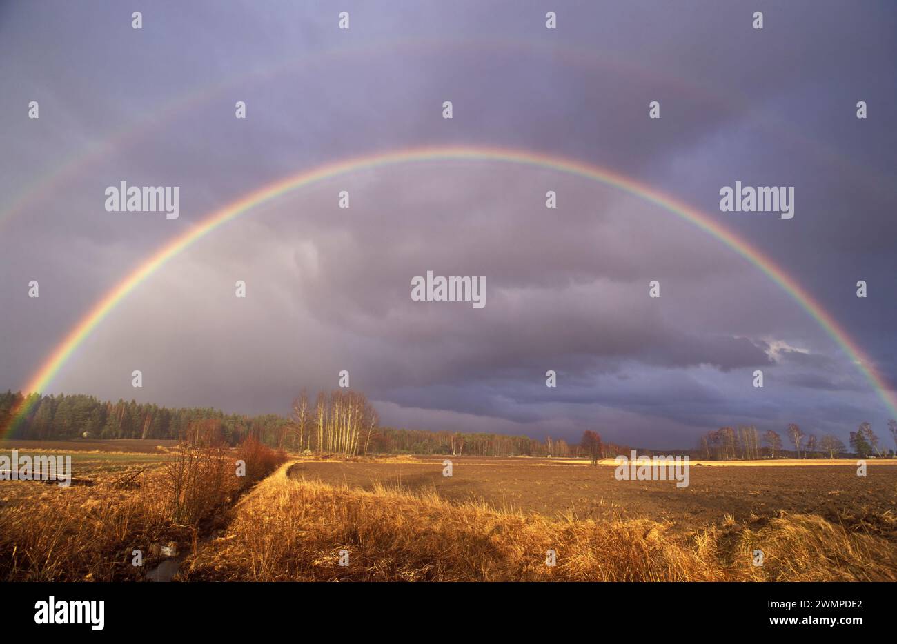 Regenbogen Stockfoto