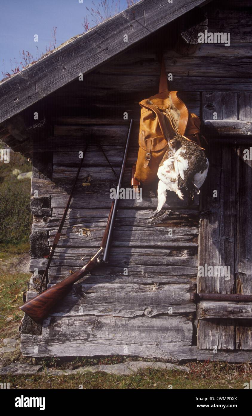 Jagd auf Auerhühner Stockfoto