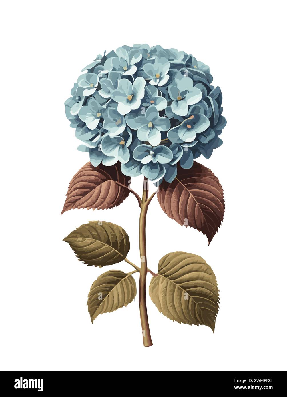 Illustration einer blauen Hortensie Strauchvektorkunst. Stock Vektor