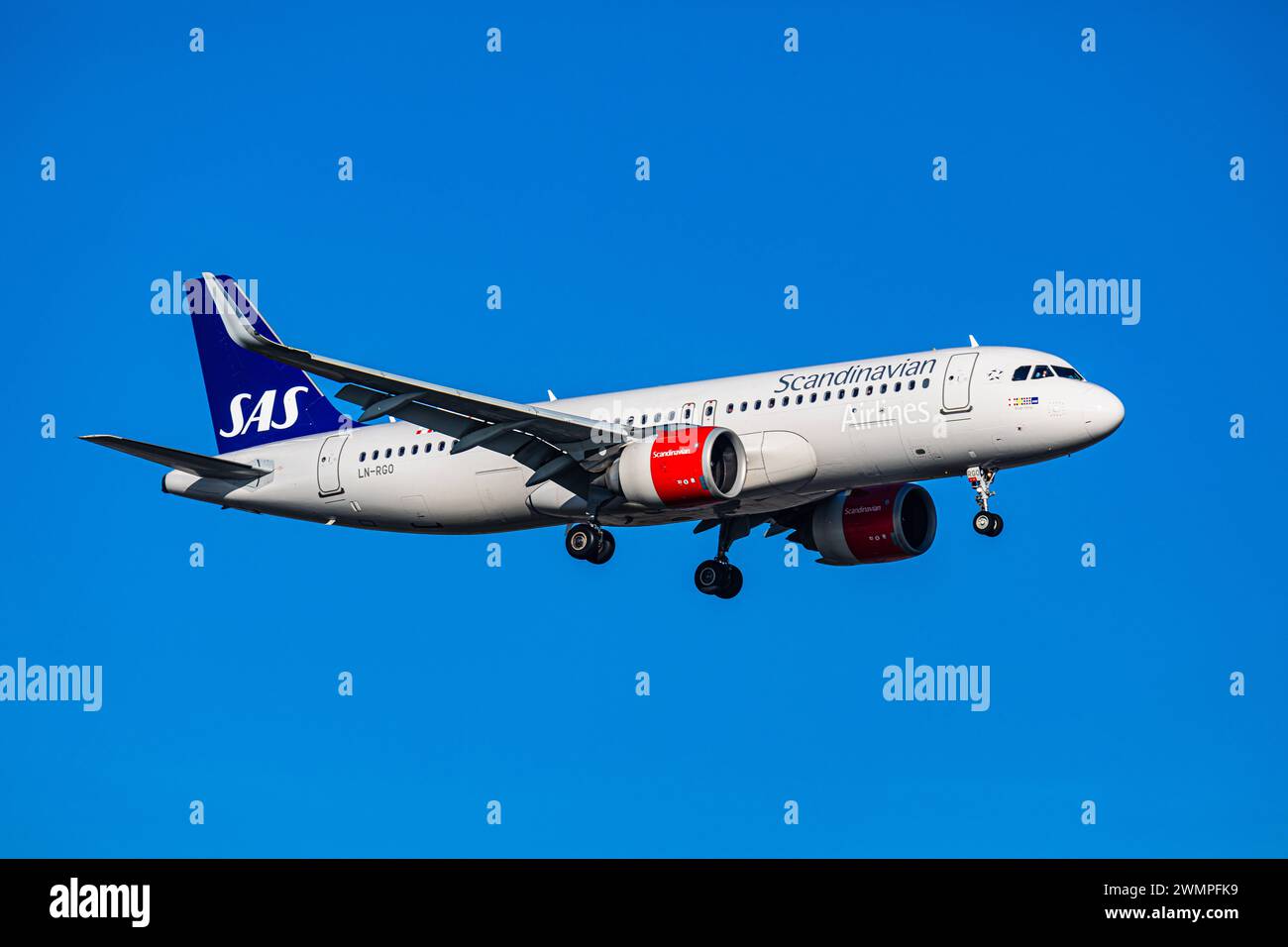 SAS Scandinavian Airlines ein Airbus A320-251N von SAS Scandinavian Airlines befindet sich im Landeanflug auf den Flughafen Zürich. Gestartet ist der Airbus A320neo in Oslo. Registrierung LN-RGO. Zürich, Schweiz, 14.01.2024 *** SAS Scandinavian Airlines ein Airbus A320 251N von SAS Scandinavian Airlines nähert sich dem Flughafen Zürich der Airbus A320neo startete von Oslo Registration LN RGO Zürich, 14 01 2024 Stockfoto