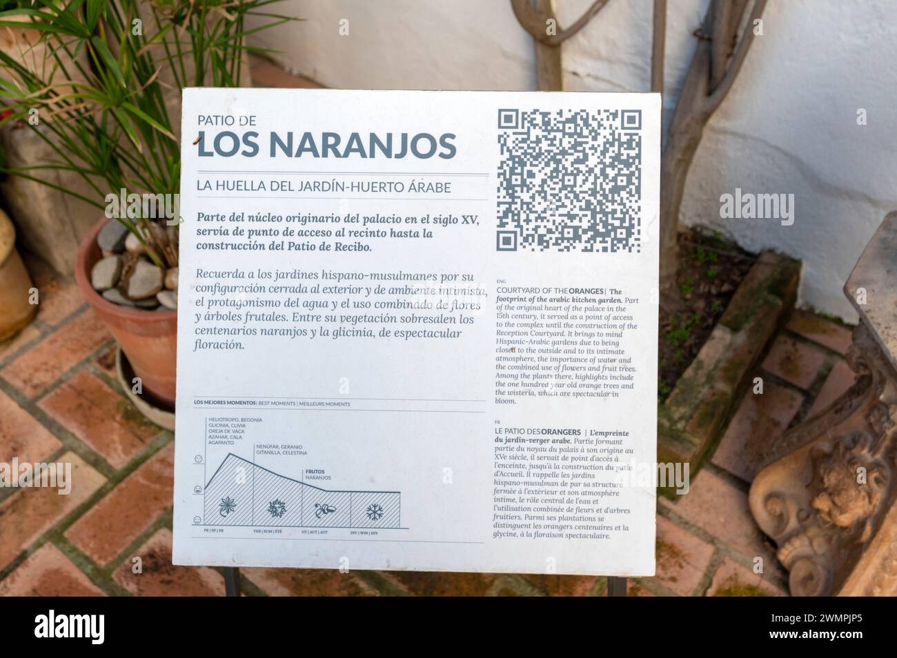 Patio de Los Naranjos – Innenhof der Orangenbäume, ein arabischer Küchengarten mit einem kleinen Hain von hundert Jahre alten Orangenbäumen am Palacio Stockfoto