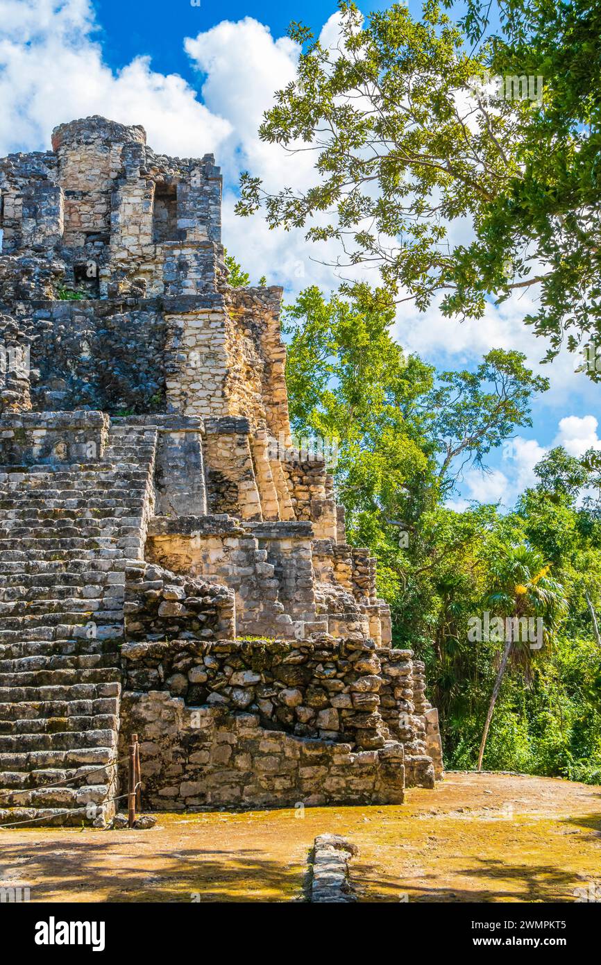 Antike Maya-Stätte Mit Tempelruinen Pyramiden Und Artefakten Im Tropischen Natürlichen Dschungelwald Palmen Und Wanderwegen In Muyil Chunyaxche Qu Stockfoto