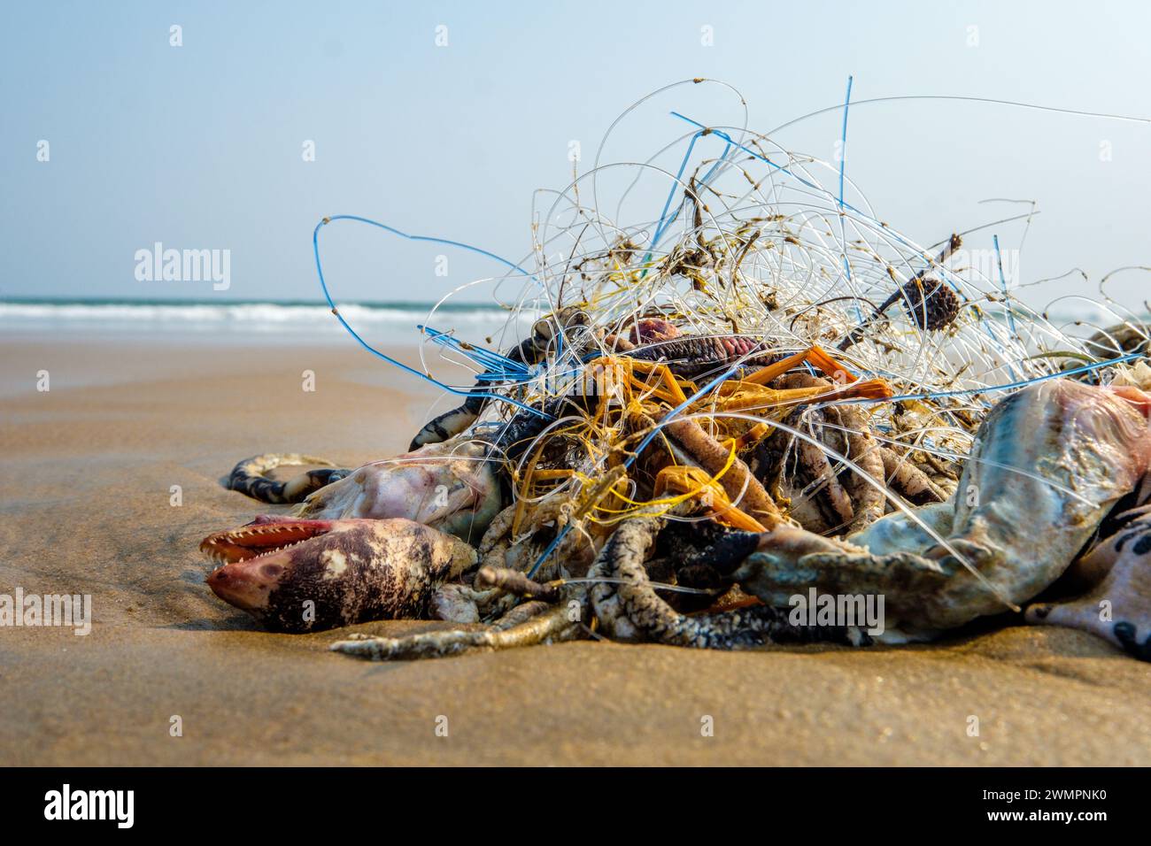 Eine Masse von Angelschnur, toten Fischen und Plastik an einem Strand in Odisha/Orissa in Indien Stockfoto
