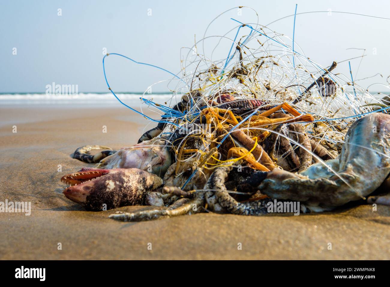 Eine Masse von Angelschnur, toten Fischen und Plastik an einem Strand in Odisha/Orissa in Indien Stockfoto