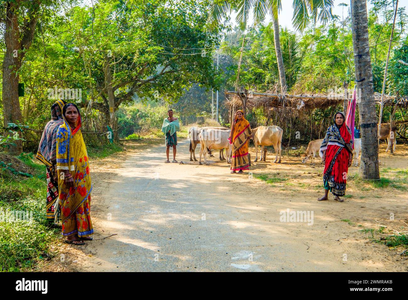 Indische Bauern in einem Dorf im ländlichen Odisha / Orissa in Indien Stockfoto