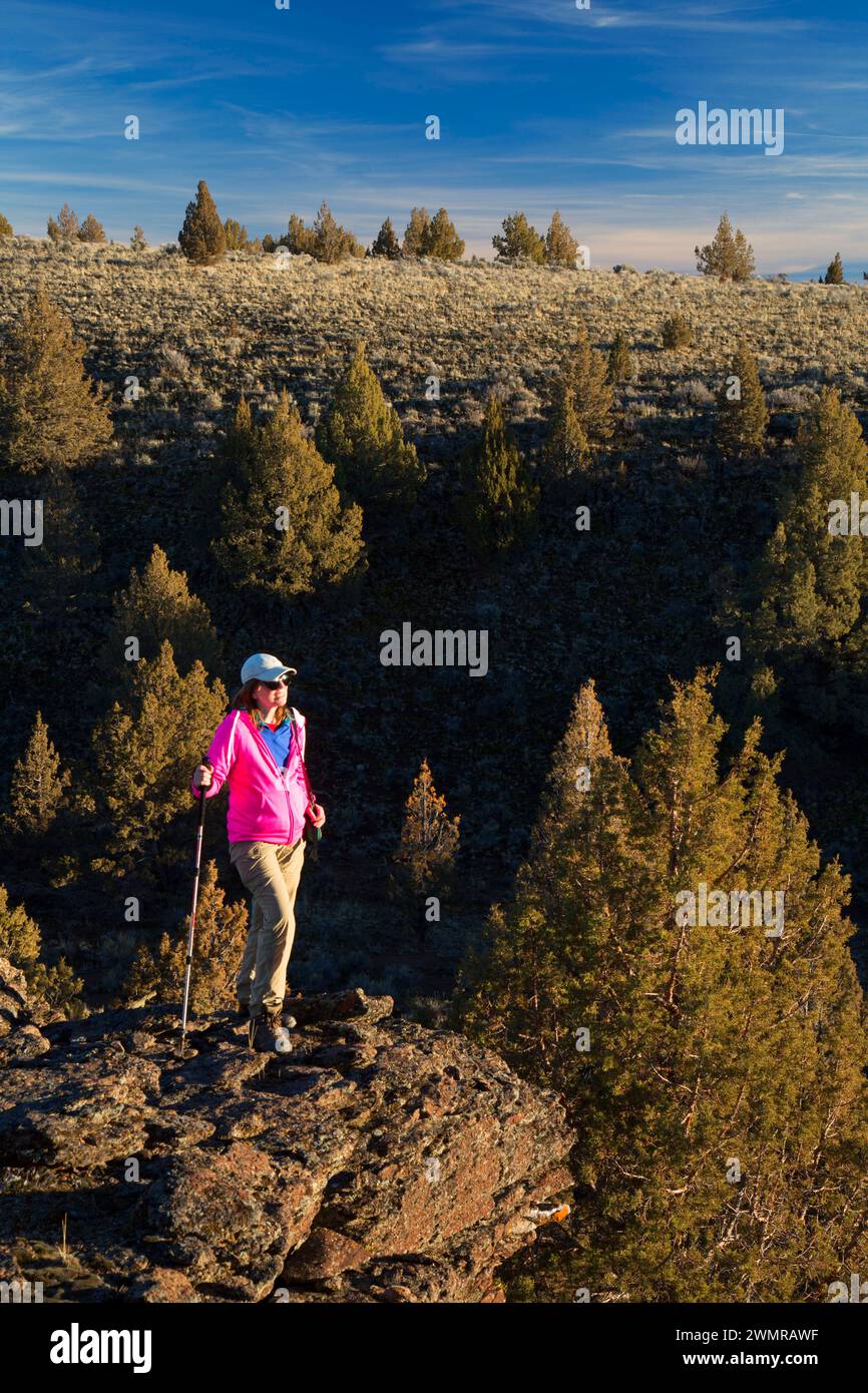 Western Wacholderbeeren (Juniperus occidentalis) mit Blick auf den Wald, Gerry Mountain Wilderness Studie, Prineville Bezirk Büro des Land-Managements, Oregon Stockfoto