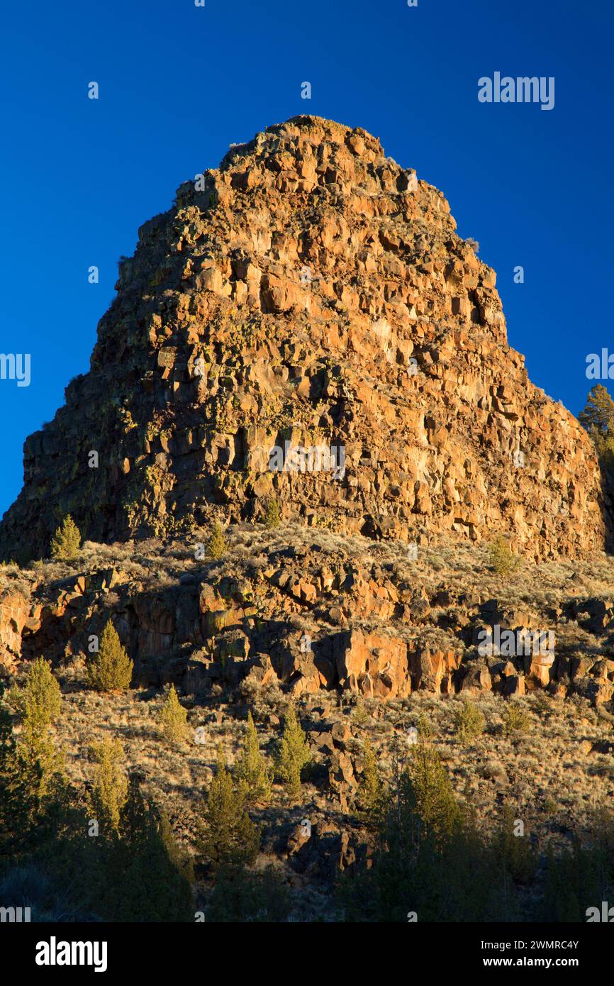 Canyon Wände, schiefe Wild und Scenic River, untere Crooked River National Back Country Byway, Prineville Bezirk Büro des Land-Managements, Oregon Stockfoto