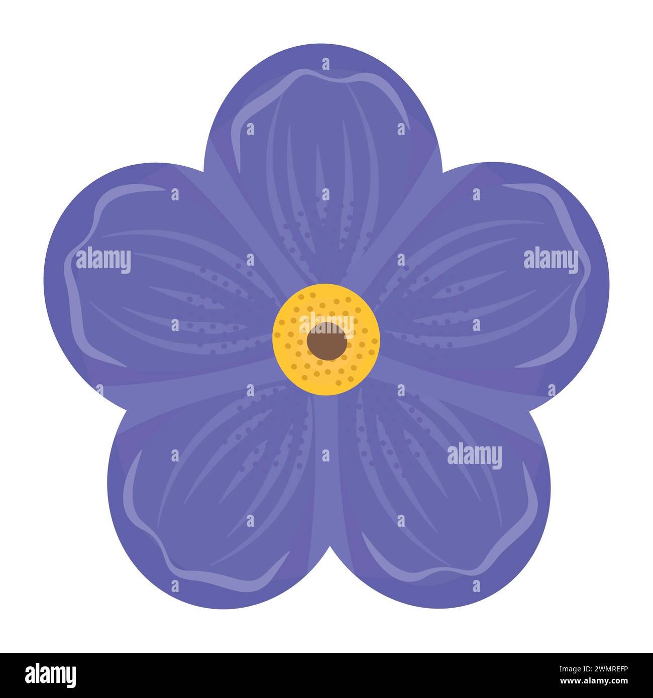 Single Forget Me Not Blume, Feldwildblume in blauen und gelben Farben Stock Vektor Single Forget Me Not Blume, Feldwildblume in blauen und gelben Farben Stock Vektor