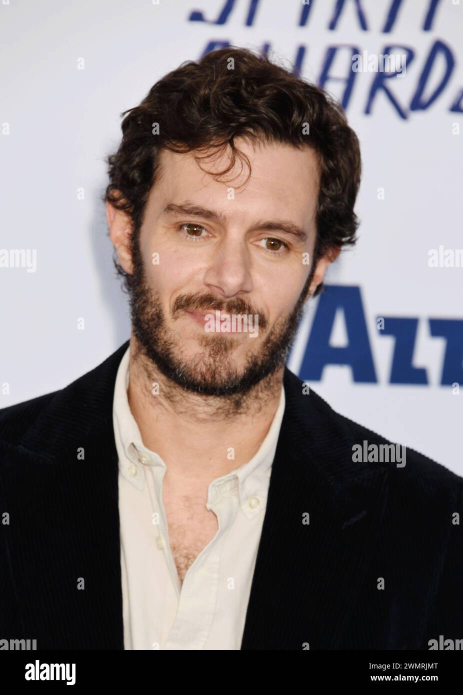 SANTA MONICA, KALIFORNIEN - 25. FEBRUAR: Adam Brody nimmt am 25. Februar 2024 an den Film Independent Spirit Awards on the Beach Teil, die am 25. Februar 2024 in Santa Monica, KALIFORNIEN, teilnehmen. Stockfoto