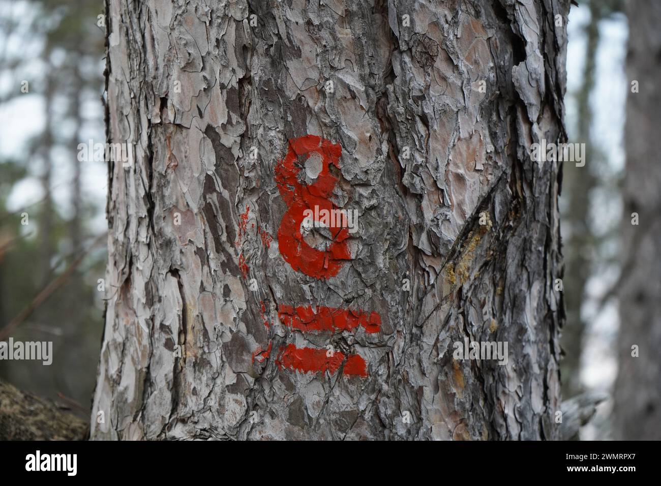Rotes Wanderschild Nr. 8 mit 2 Linien darunter. Stockfoto