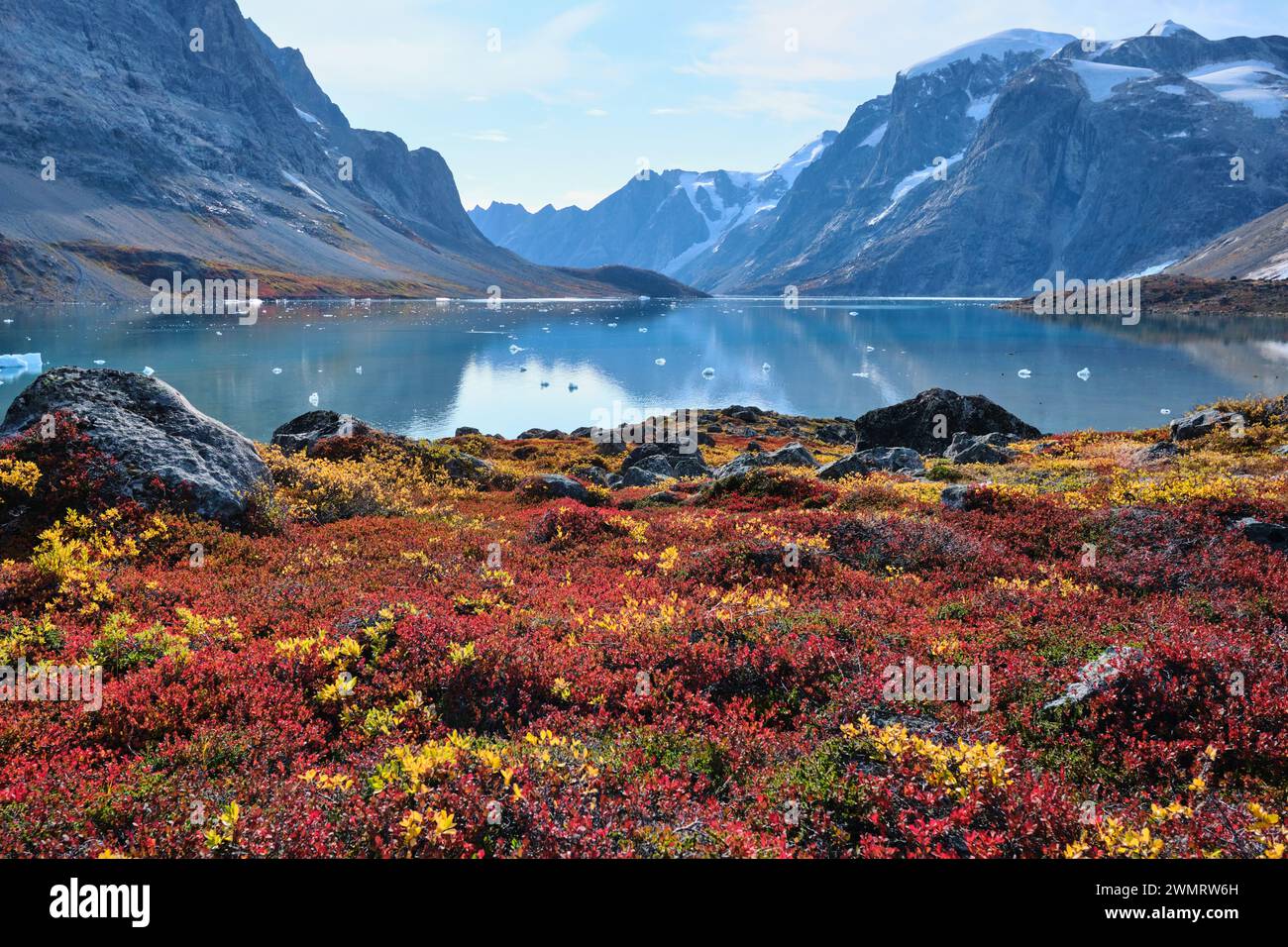 Rot- und Gelbtöne der Herbstvegetation in der Tundra bei Dronning Marie Dal bilden den Vordergrund für ruhige Gewässer des Fjords bei Skoldungen, Ostgrönland Stockfoto