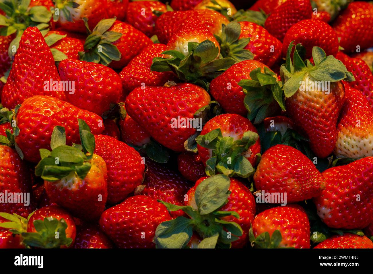 Hintergrund für Erdbeerfrüchte. Frische Erdbeeren auf dem Markt erhältlich. Nahaufnahme. Stockfoto