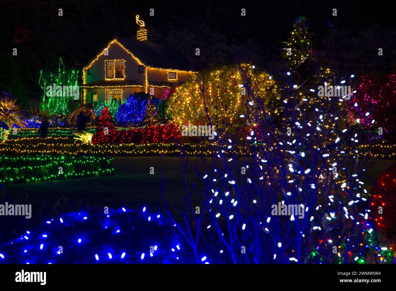 Holiday Lights, Shore Acres State Park, Oregon Stockfoto