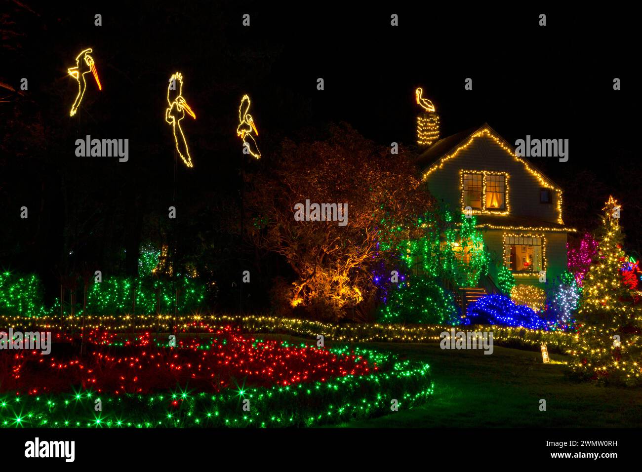 Holiday Lights, Shore Acres State Park, Oregon Stockfoto