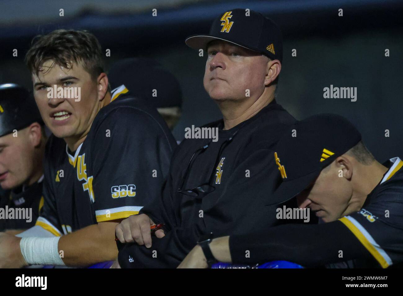 MGM Park, Biloxi, Mississippi, USA. Februar 2024. Christian Ostrander, Head Coach der Southern Miss, sieht beim Baseballspiel Hancock-Whitney Classic, Southern Miss Golden Eagles gegen Nicholls Colonels im MGM Park, Biloxi, Mississippi, aus dem Dugout. Foto: Bobby McDuffie/CSM/Alamy Live News Stockfoto