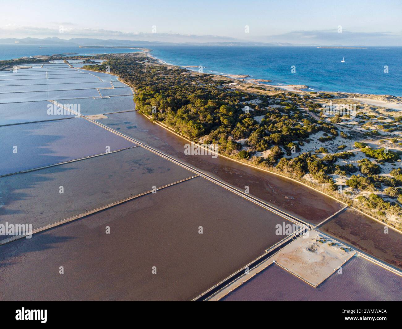 Formentera, Pitiusas-Inseln, Balearische Gemeinschaft, Spanien Stockfoto