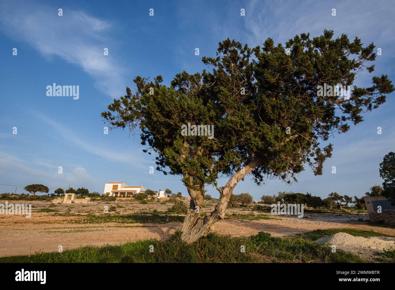 Typisches Haus, Formentera, Pitiusas-Inseln, Balearische Gemeinschaft, Spanien Stockfoto